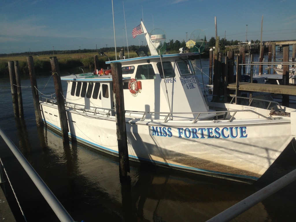 Party Boats & Charters Discover Delaware Bay